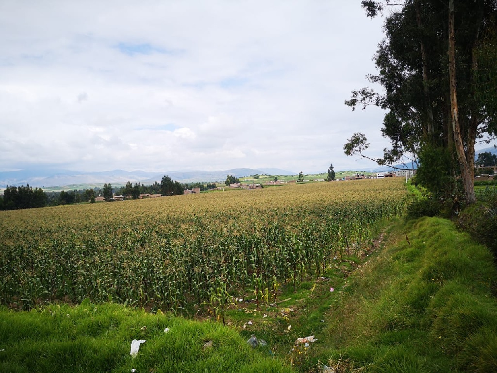 CC Muquiyauyo