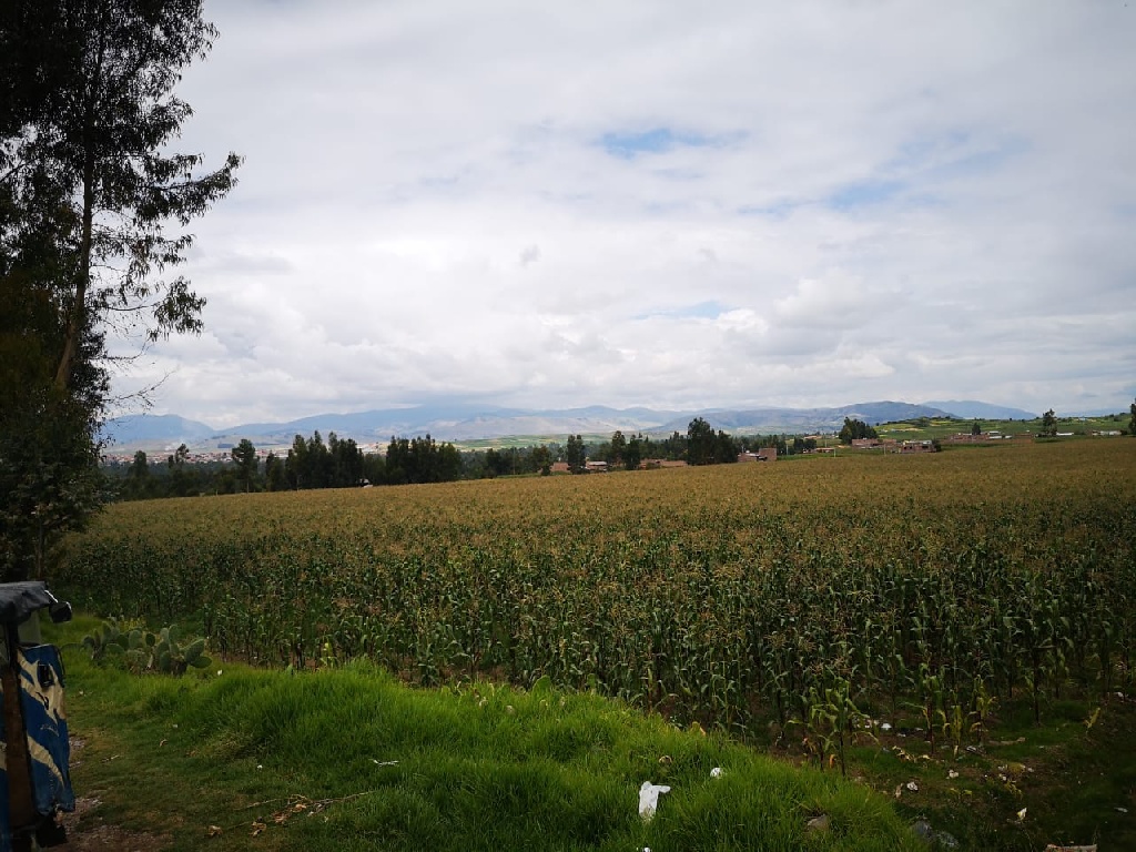 CC Muquiyauyo
