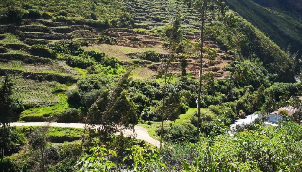 CC Muquiyauyo