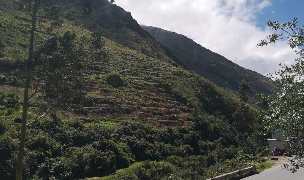 CC Muquiyauyo