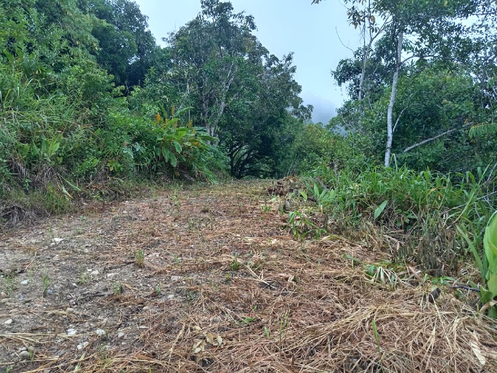 CC Muquiyauyo