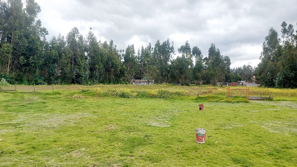 Desierto