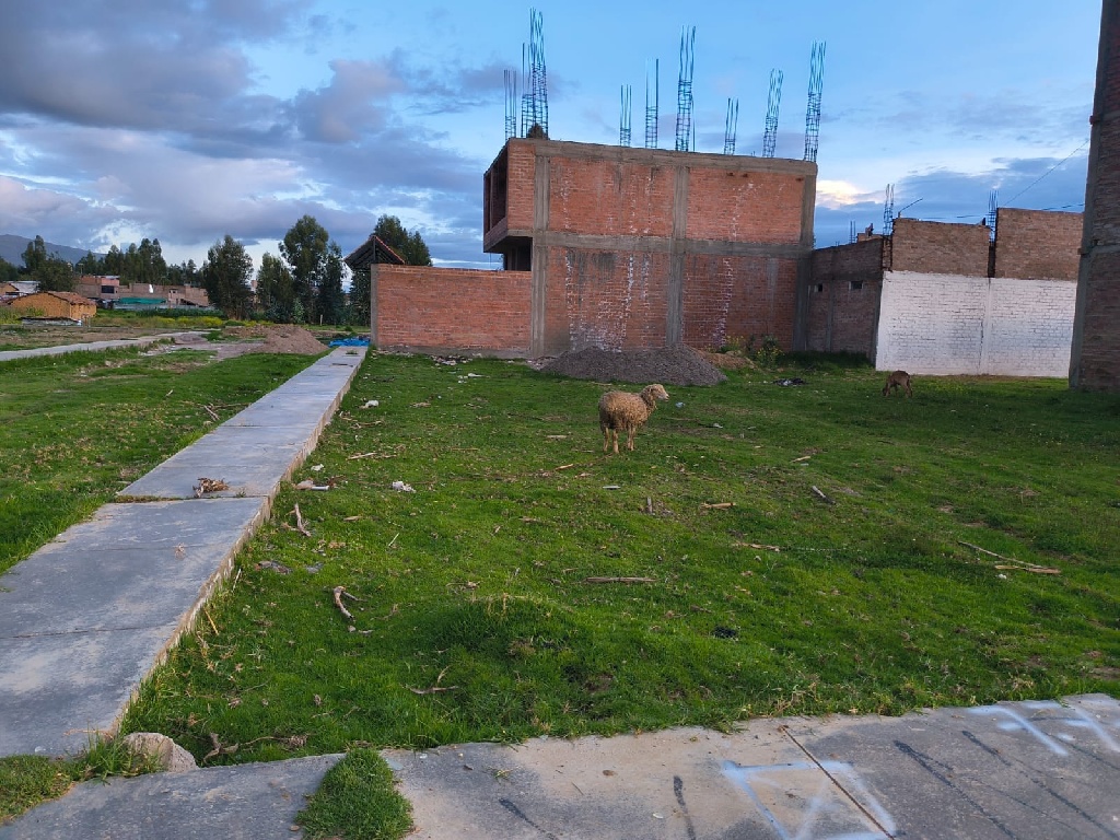 CC Muquiyauyo