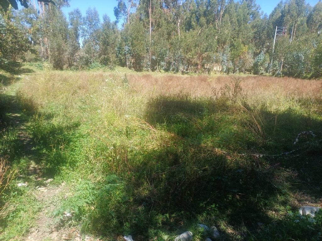 CC Muquiyauyo